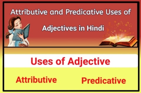 Attributive and Predicative Uses of Adjectives in Hindi